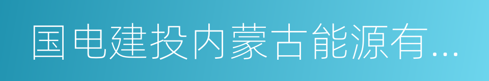 国电建投内蒙古能源有限公司的同义词