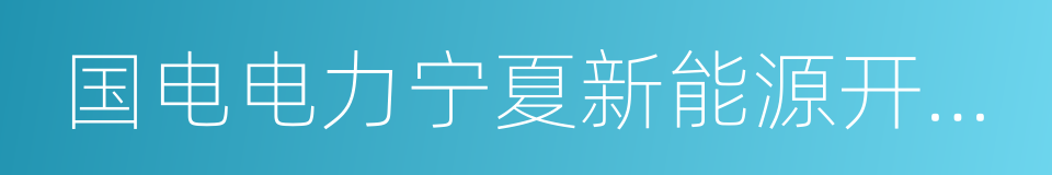 国电电力宁夏新能源开发有限公司的同义词