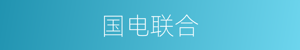 国电联合的同义词
