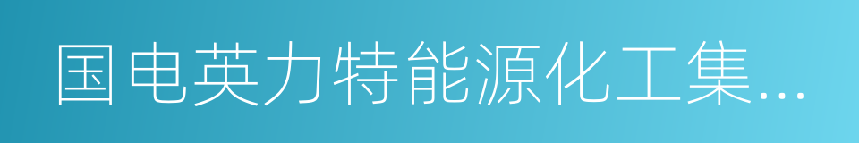 国电英力特能源化工集团股份有限公司的同义词