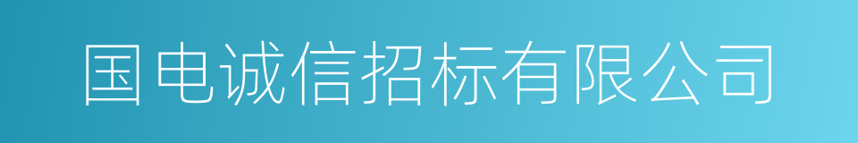 国电诚信招标有限公司的同义词