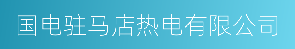 国电驻马店热电有限公司的同义词