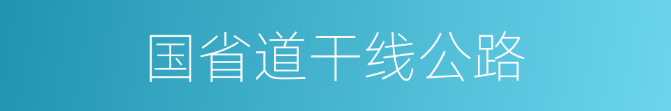 国省道干线公路的同义词