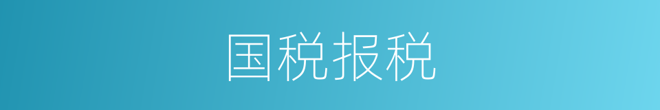 国税报税的同义词