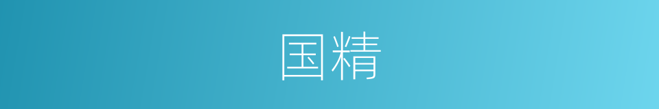 国精的同义词
