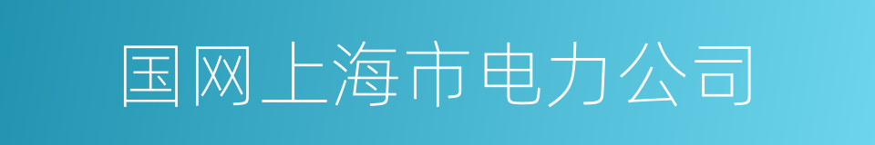 国网上海市电力公司的同义词