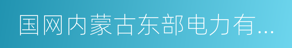 国网内蒙古东部电力有限公司的同义词