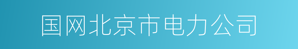 国网北京市电力公司的同义词