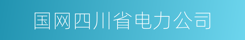 国网四川省电力公司的同义词