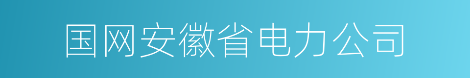 国网安徽省电力公司的同义词