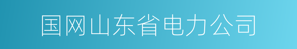 国网山东省电力公司的同义词