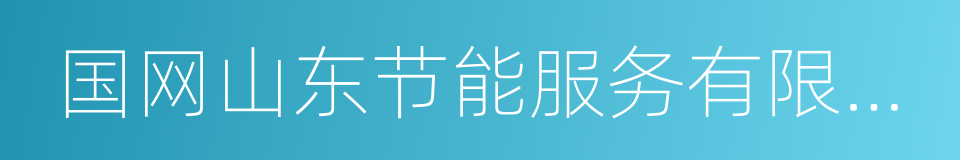 国网山东节能服务有限公司的同义词
