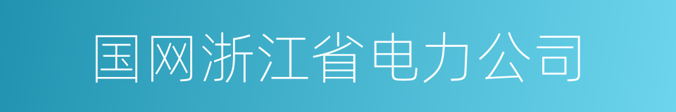 国网浙江省电力公司的同义词