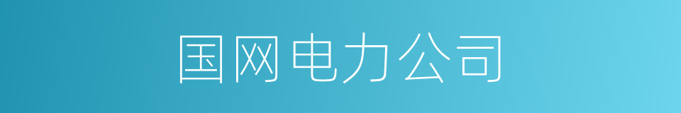 国网电力公司的同义词