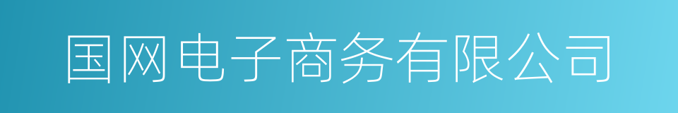国网电子商务有限公司的同义词