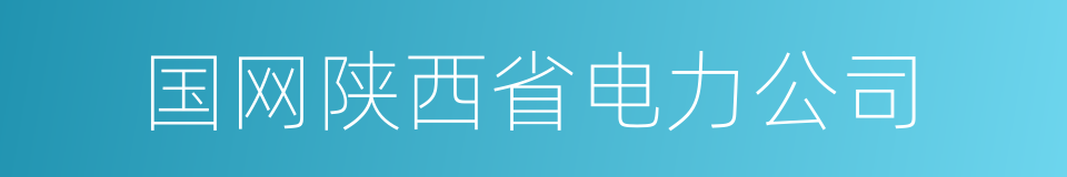 国网陕西省电力公司的同义词