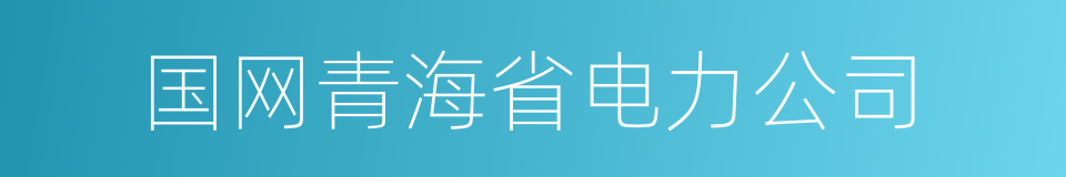 国网青海省电力公司的同义词