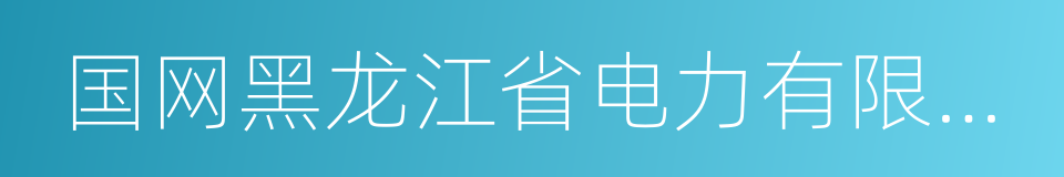 国网黑龙江省电力有限公司的同义词