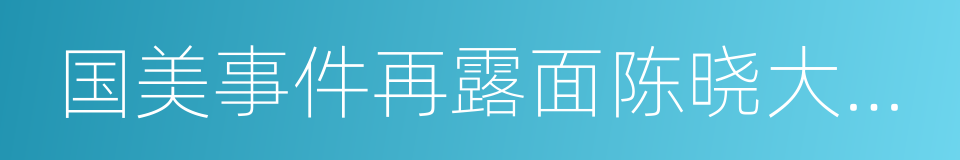 国美事件再露面陈晓大爆国美财务漏洞的同义词