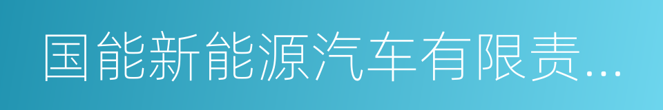 国能新能源汽车有限责任公司的同义词