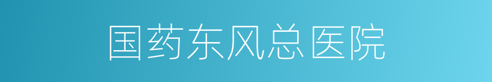 国药东风总医院的同义词
