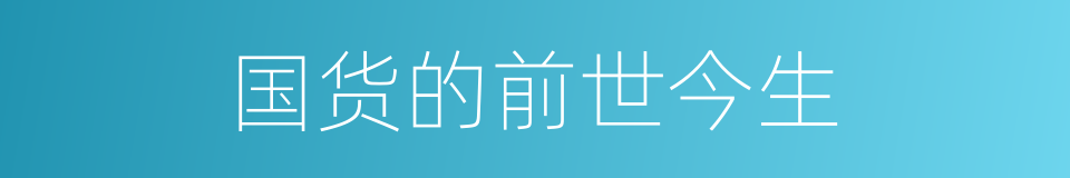 国货的前世今生的同义词