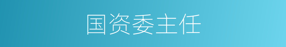 国资委主任的同义词