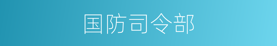 国防司令部的同义词