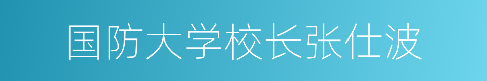 国防大学校长张仕波的同义词