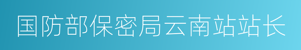 国防部保密局云南站站长的同义词