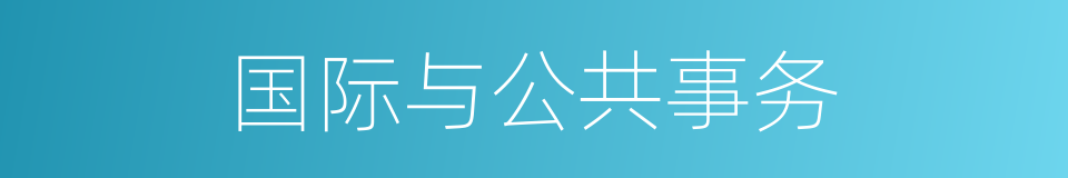 国际与公共事务的同义词