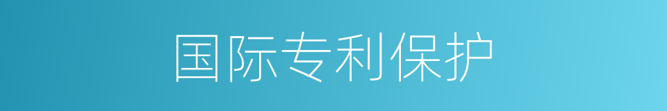 国际专利保护的同义词