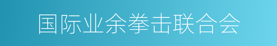 国际业余拳击联合会的同义词