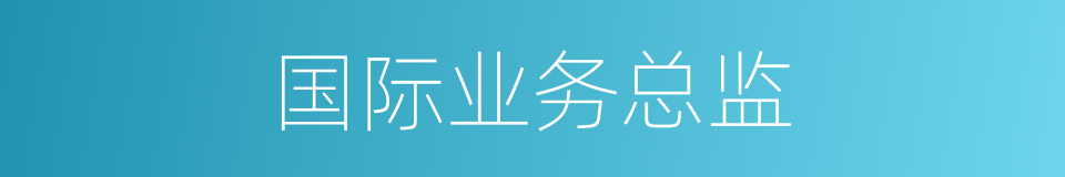 国际业务总监的同义词