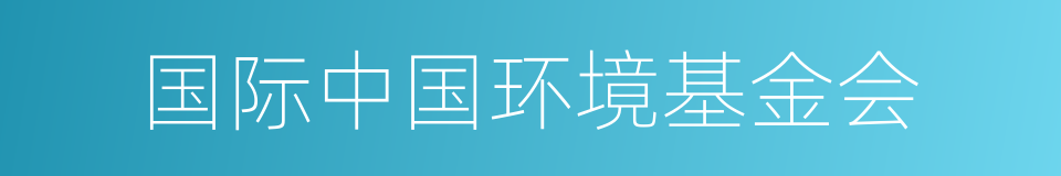 国际中国环境基金会的意思