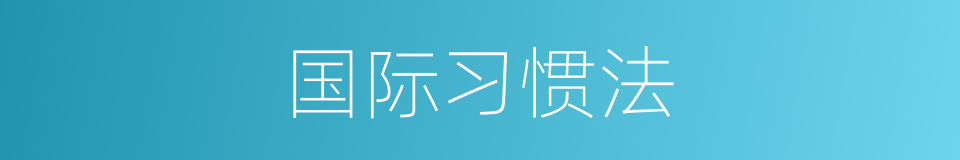 国际习惯法的同义词