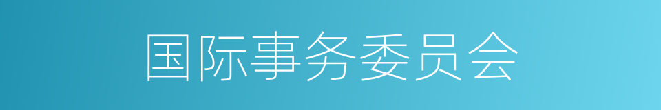 国际事务委员会的同义词