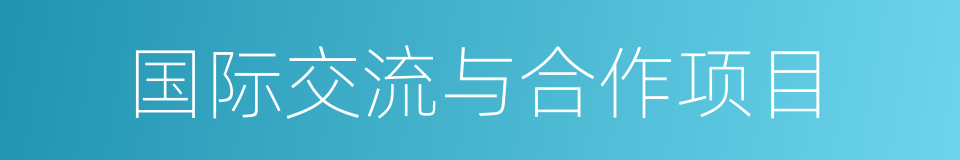 国际交流与合作项目的同义词