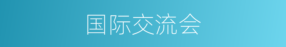 国际交流会的同义词