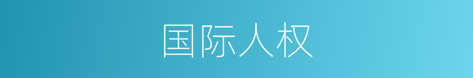 国际人权的同义词