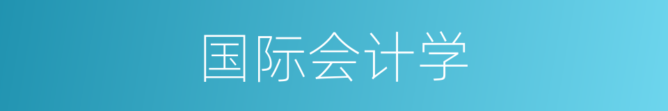 国际会计学的同义词