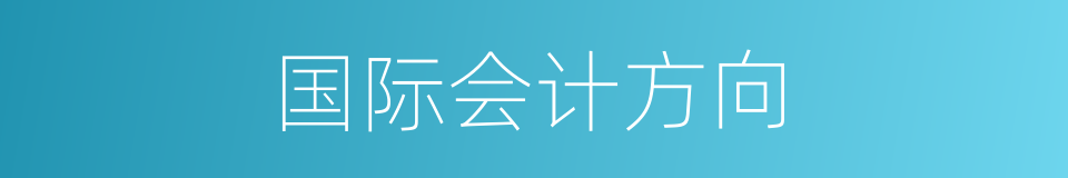 国际会计方向的同义词