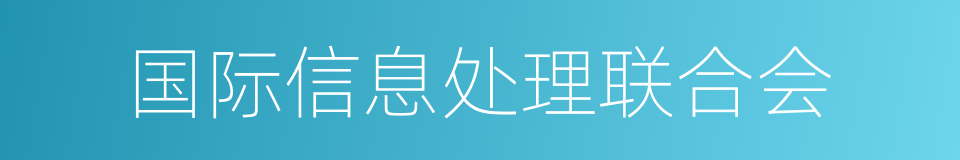 国际信息处理联合会的同义词