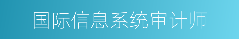 国际信息系统审计师的同义词