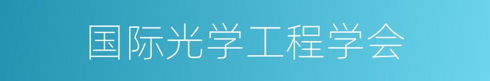 国际光学工程学会的同义词