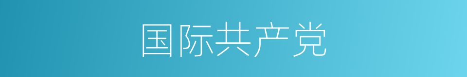 国际共产党的同义词