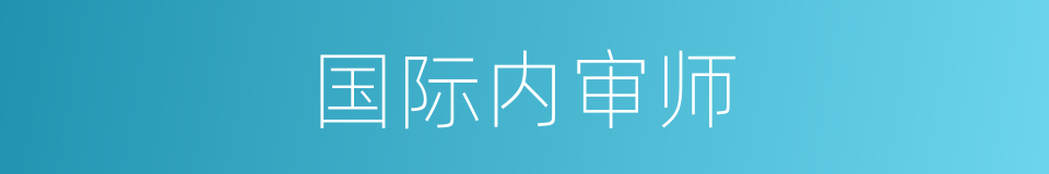 国际内审师的同义词