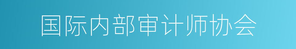 国际内部审计师协会的同义词