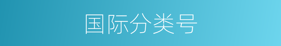 国际分类号的同义词