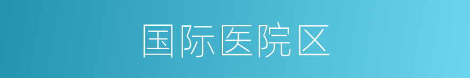 国际医院区的同义词